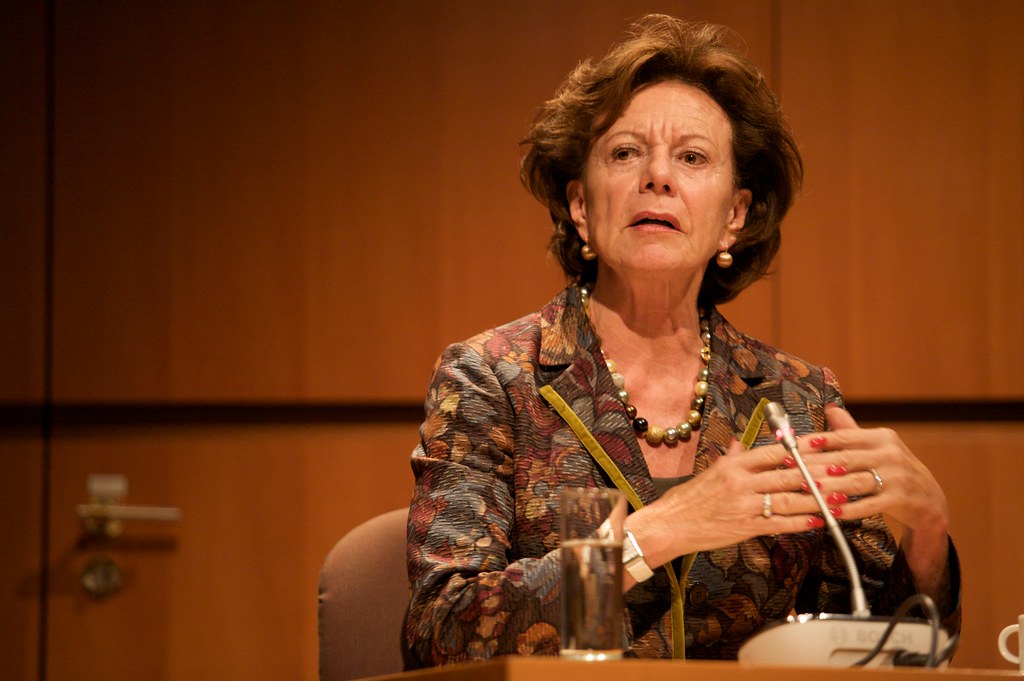 Wat is het vermogen van Neelie Kroes?